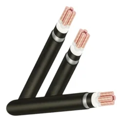 Dây cáp điện LS Vina Cu/XLPE/PVC/DSTA/PVC 3x70 24kV (Băng đồng 1 lớp 0.09mm)