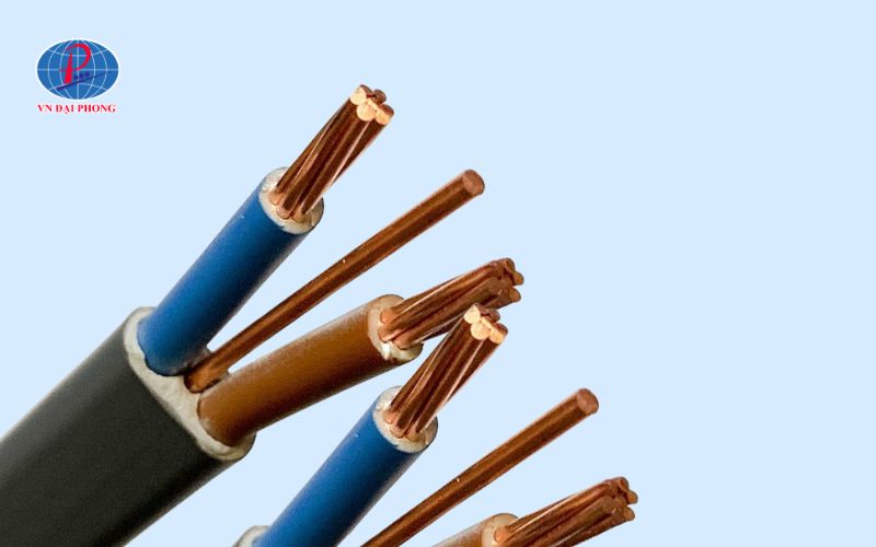 VN Đại Phong – Địa Chỉ Phân Phối Dây Cáp Điện Giá Tốt