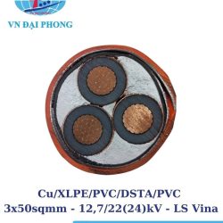 cap ngam ls vina 1