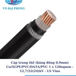 cap trung the ls vina 1