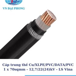 cap trung the ls vina 2 1