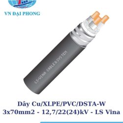 day cap ngam trung the ls vina 1 1