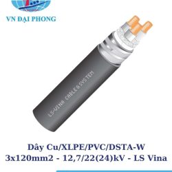 day cap ngam trung the ls vina 2 1